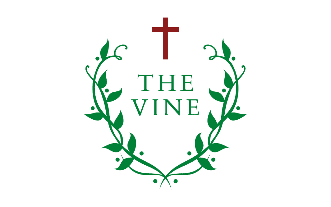 Middle School Ministry – The Vine