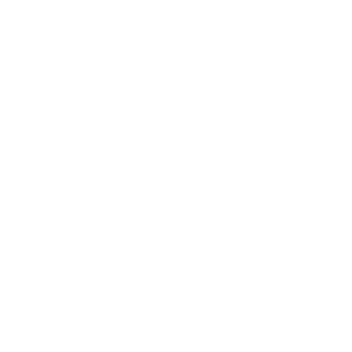 Live-Stream Icon